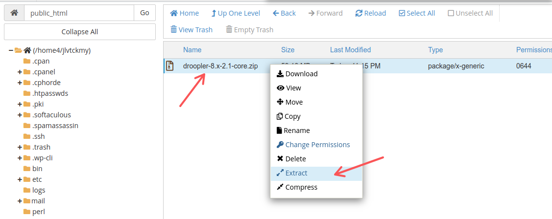 Selecting the Extract option for the Droopler file