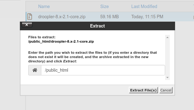 Setting the target director for the extraction of the Droopler file