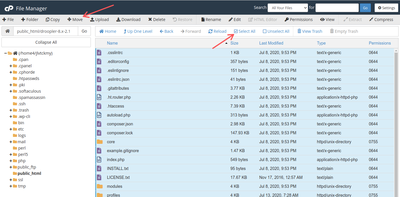 Moving the selected files to the public_html directory