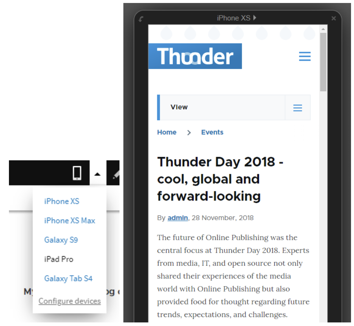 Mobile preview in CMS Editor lets us see how the article presents itself on smartphones or tablets.
