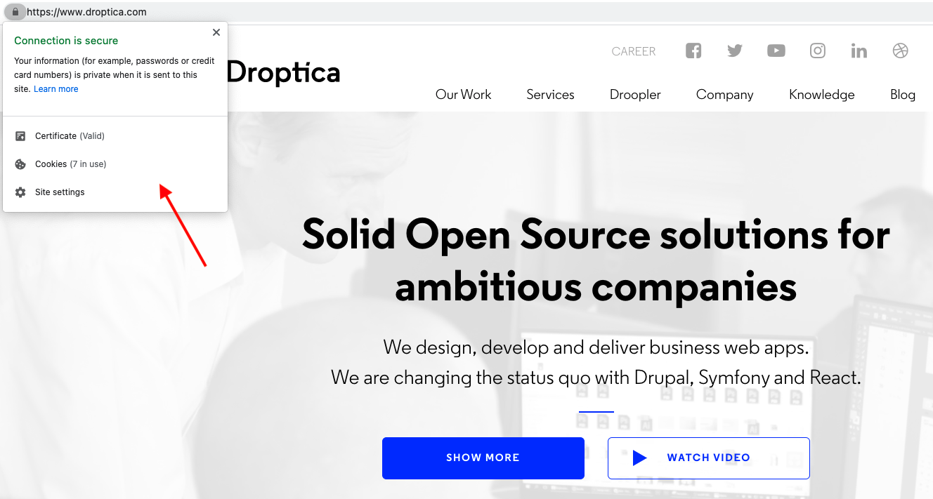 Information about the usage of HTTPS website protocol at the Droptica webpage