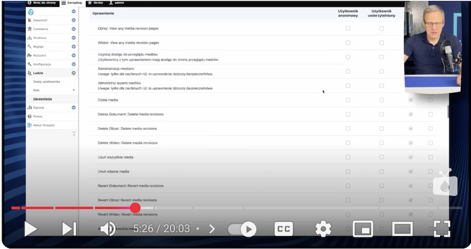 A section view in the Drupal admin panel where you can assign permissions to specific website users.