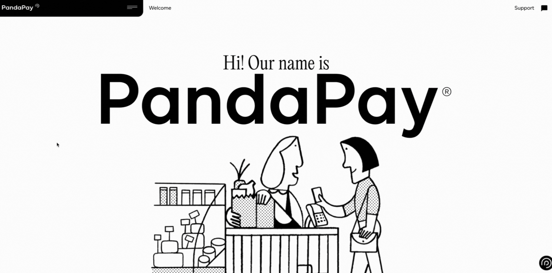 PandaPay's technology website design is distinguished by its use of original illustrations and fonts 