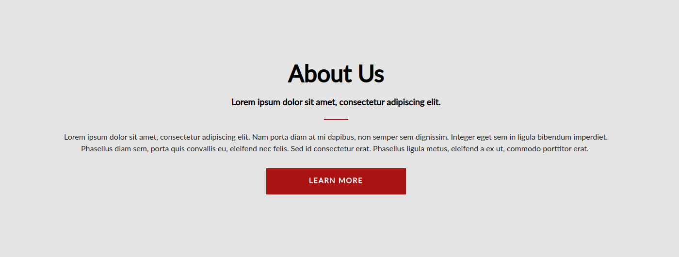 The About Us section on the homepage, created using Text page paragraph