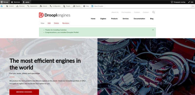 The website's look in Droopler, the website builder