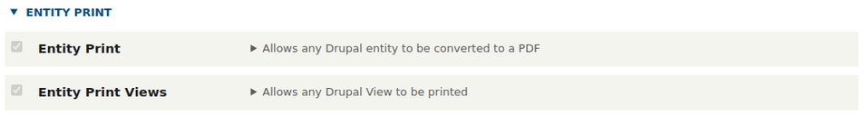 The installation settings of the Entity Print Drupal module