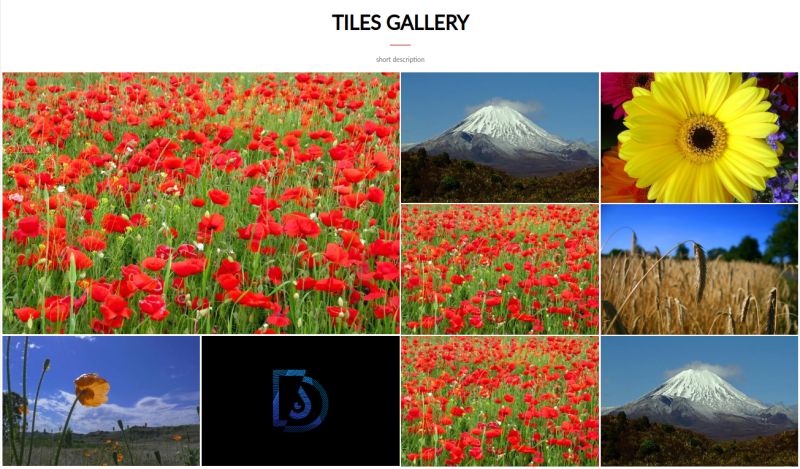 The usage of “d-tiles-item-2x2” class, prepared for the elements of the tiles gallery