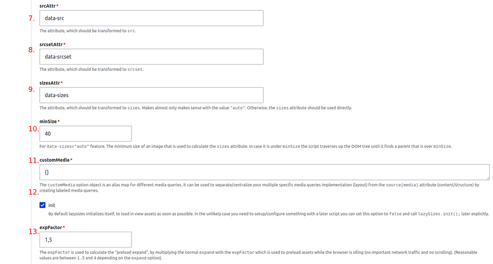 Setting the details of attributes in the Lazysizes library configuration