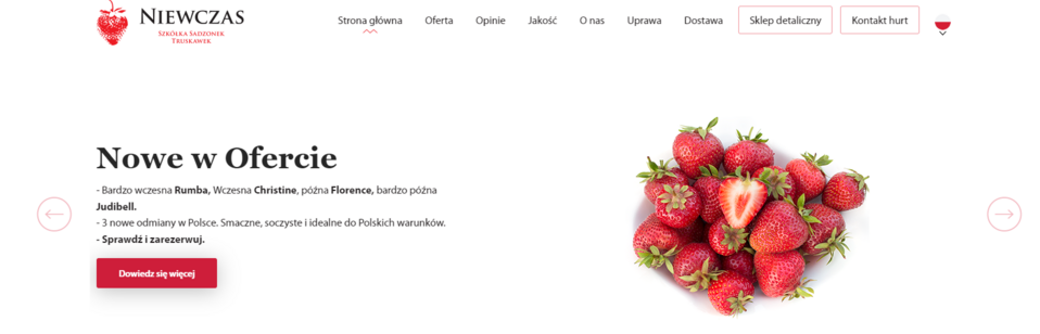 Die Website der Erdbeerbaumschule Niewczas verwendet Droopler, einen Website-Ersteller für Startups