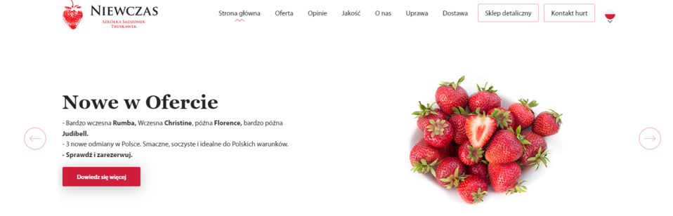 The website of the Strawberry Plant Nursery Niewczas uses Droopler, a website creator for startups