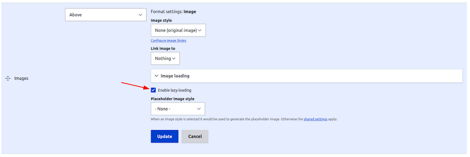 Checking the box that allows lazy loading in the settings of a specific field