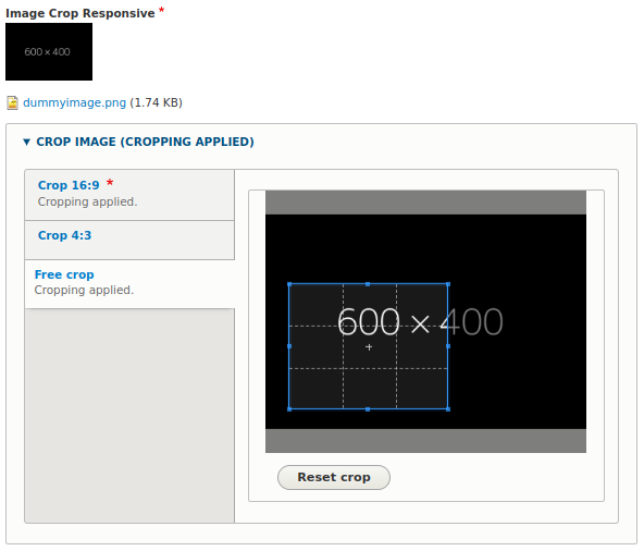 Option to manually crop an image in the Drupal Image Widget Crop module
