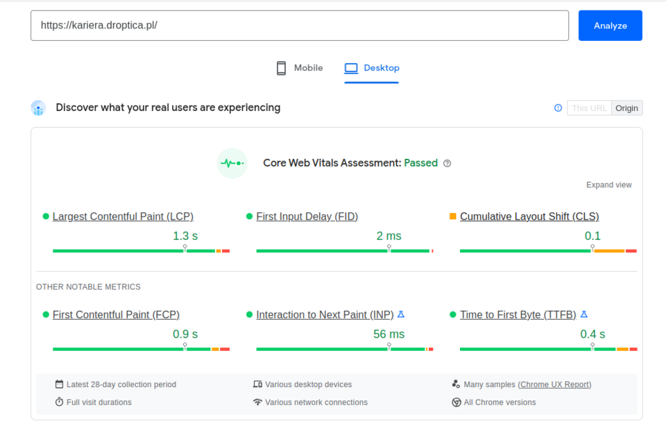 The results of the website load speed test performed with the PageSpeed Insights tool