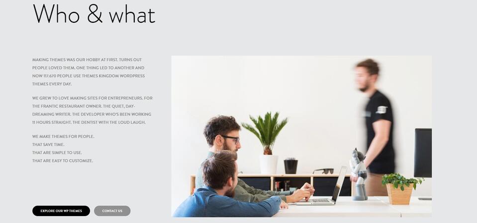 Das Zeigen des Teams in alltäglichen Situationen zeigt den Besuchern, dass das Unternehmen aus echten Menschen besteht. https://themeskingdom.com/about/