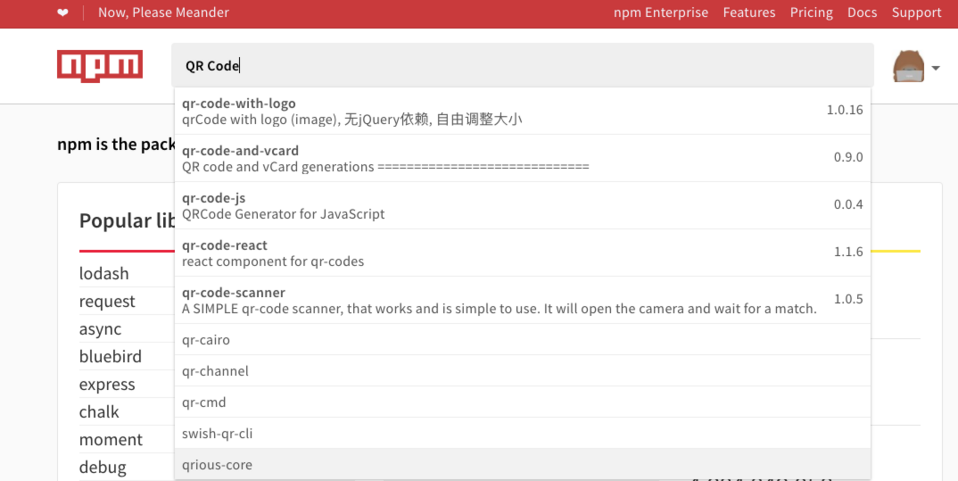 Suche nach Paketen mit der Suchmaschine in dem npm-Frontend-Entwicklungstool