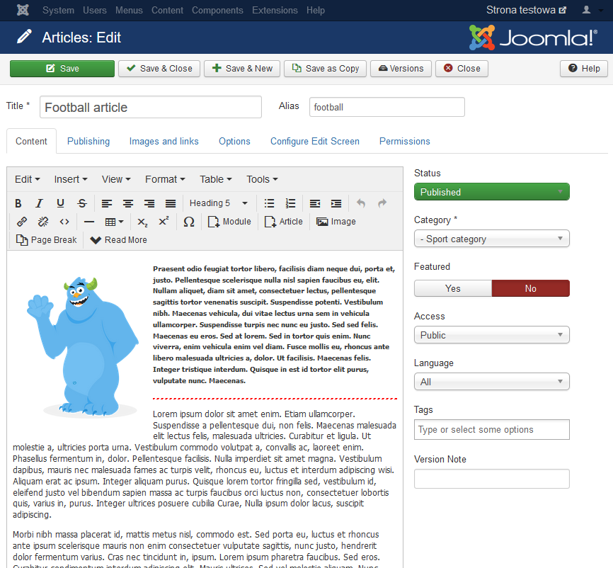 A view of the text editor in Joomla CMS