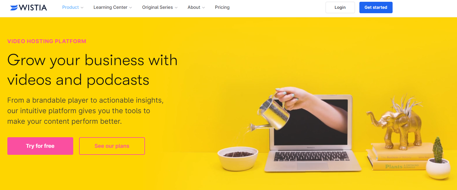 The service page of Wistia includes eye-catching graphics and animations
