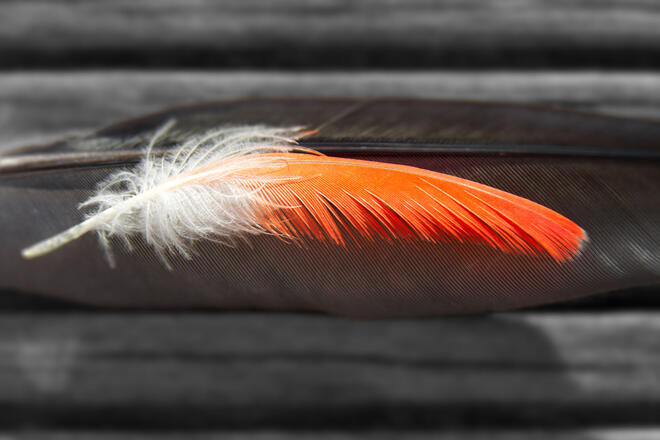 Speed up your websites and reduce server load with mod_expires