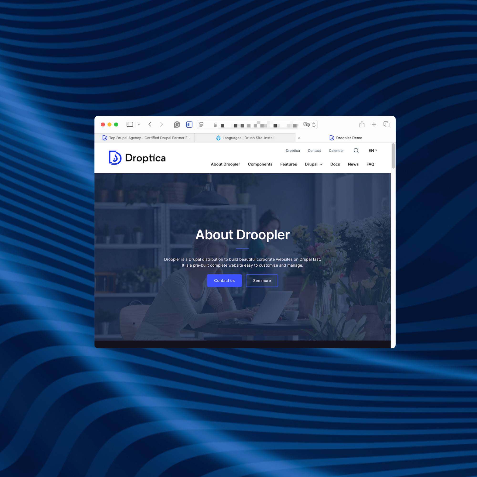 An example of an SEO-optimized website built using Droopler.