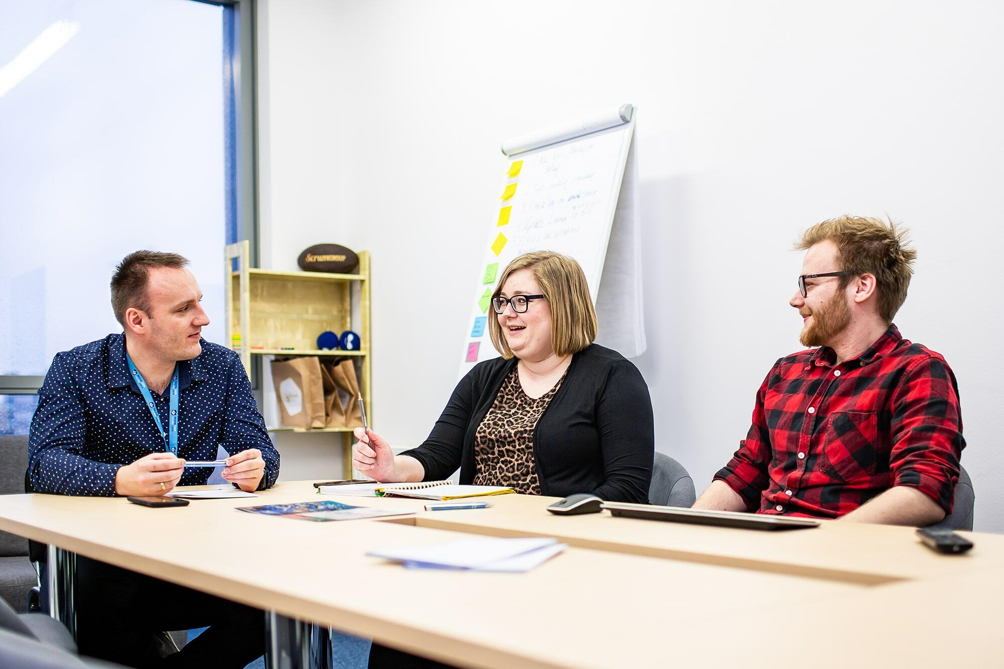 Drupal Consulting